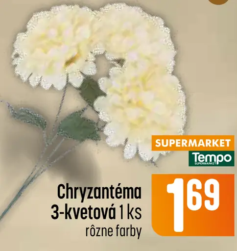 Chryzantéma 3-kvetová, rôzne farby