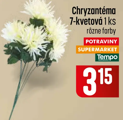 Chryzantéma 7-kvetová
