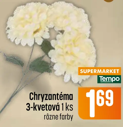 Chryzantéma 3-kvetová