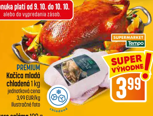 Mladá kačica chladená