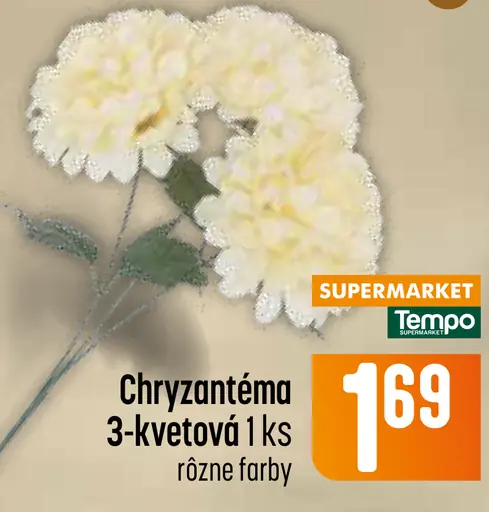 Chryzantéma 3-kvetová