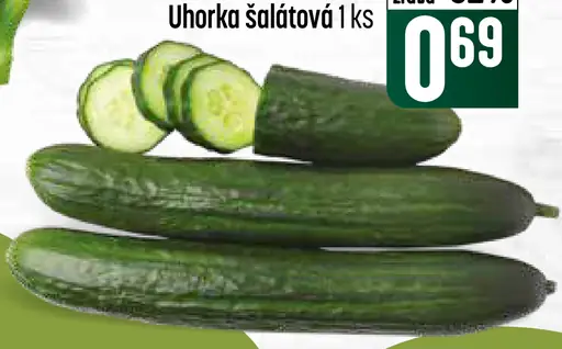 Uhorka šalátová