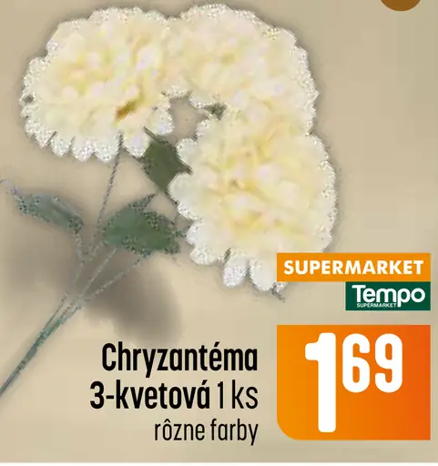 Chryzantéma 3-kvetová, rôzne farby
