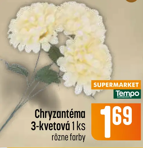 Chryzantéma 3-kvetová
