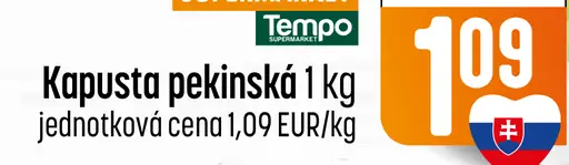 Kapusta pekinská