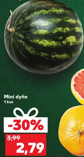 Mini dyňa