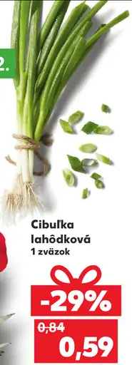 Cibuľka lahôdková