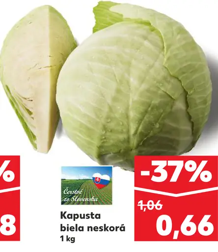 Kapusta biela neskorá