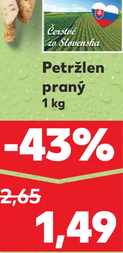 Petržlen praný