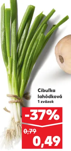 Cibuľka lahôdková