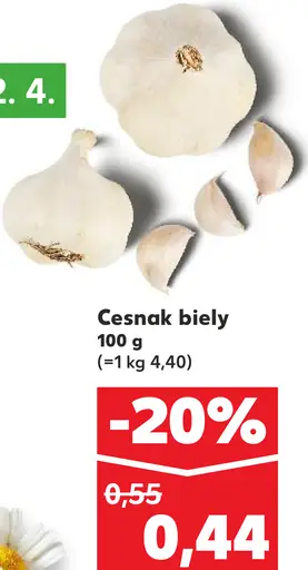 Cesnak biely