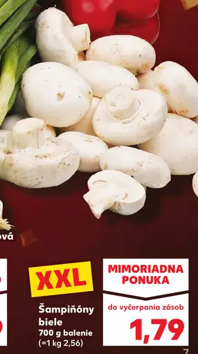 Šampiňóny biele