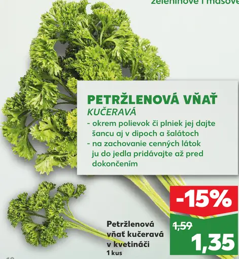 Petržlenová vňať kučeravá