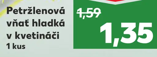 Petržlenová vňať hladká