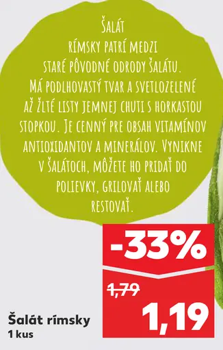 Šalát rímsky