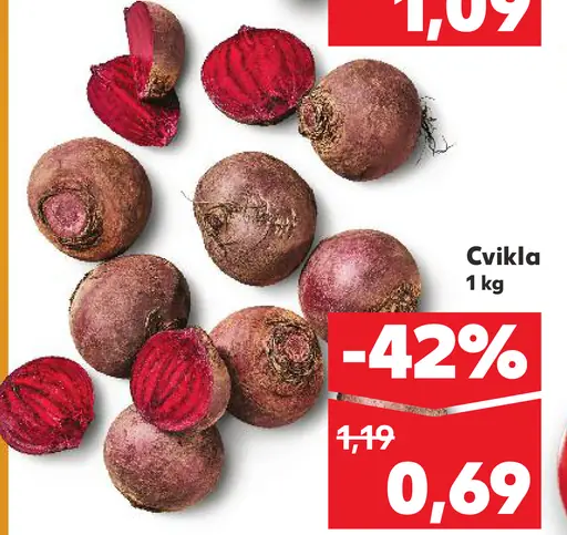 Cvikla