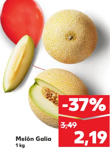 Melón Gália