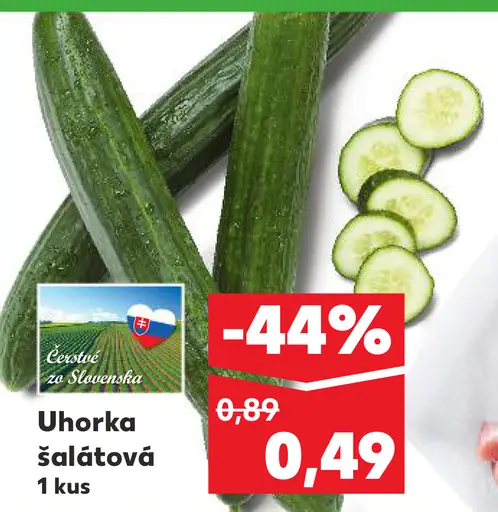 Uhorka šalátová