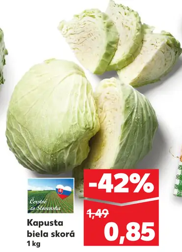 Kapusta biela skorá