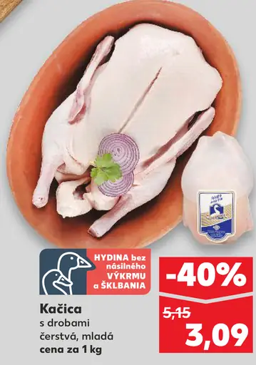 Kačica s drobkami