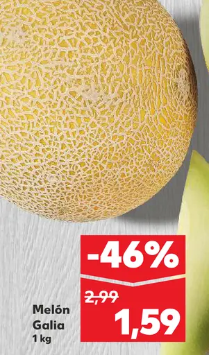 Melón Gália