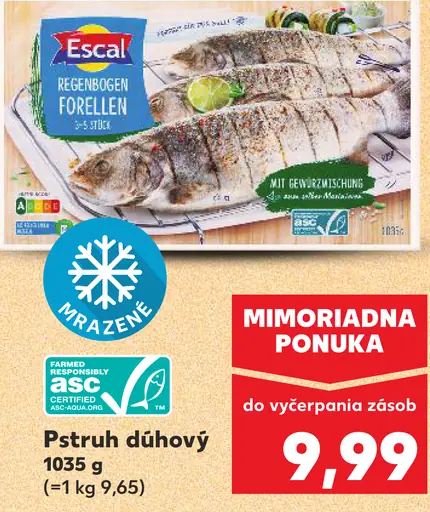 Escal Pstruh dúhový