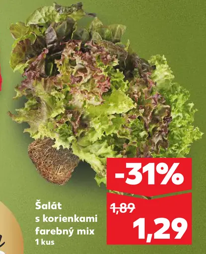 Šalát s korienkami farebný mix