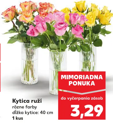 Kytica ruží
