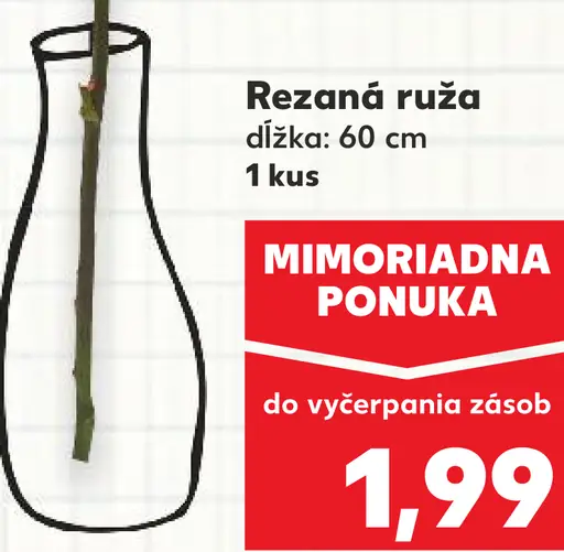 Rezaná ruža