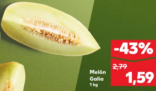 Melón Gália