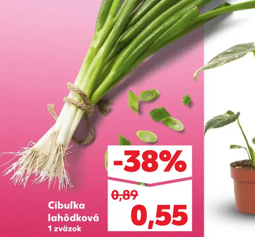 Cibuľka lahôdková