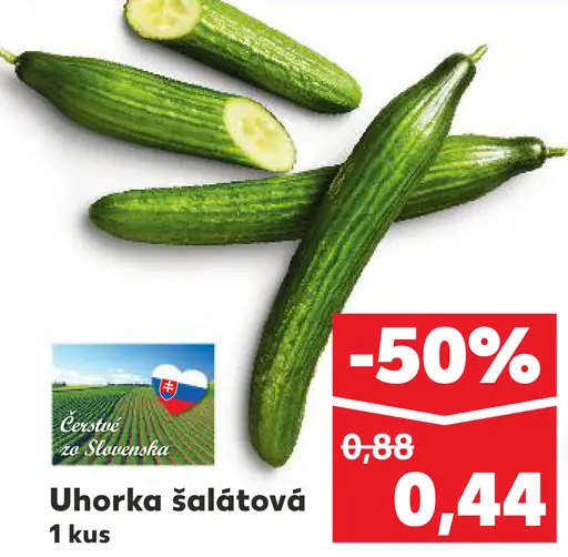 Uhorka šalátová