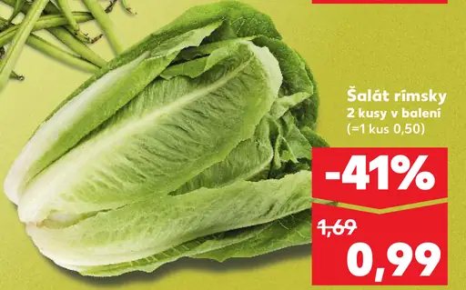 Šalát rímsky