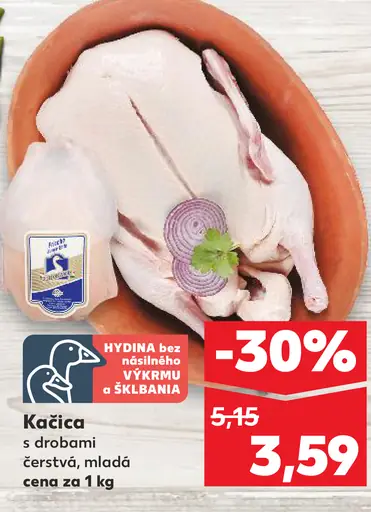 Kačica s drobkami