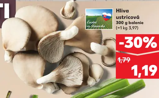 Hliva ustricová