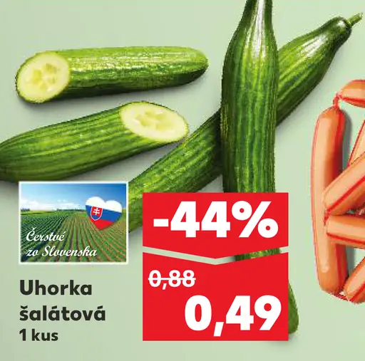 Uhorka šalátová
