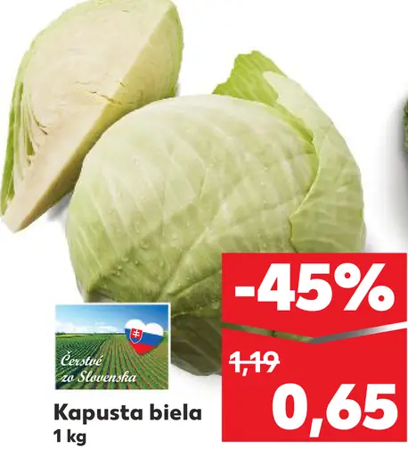 Kapusta biela