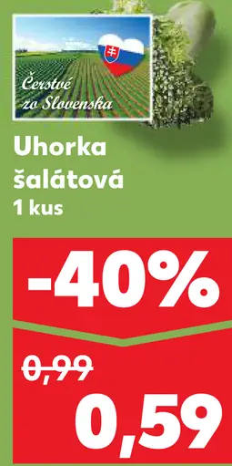 Uhorka šalátová