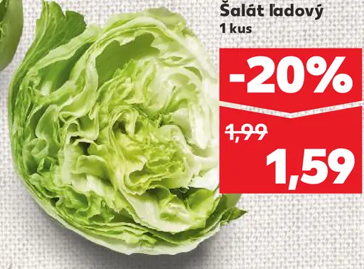 Bio Šalát ľadový