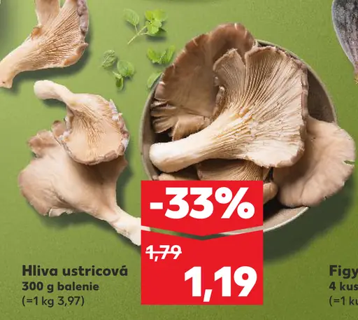 Hliva ustricová