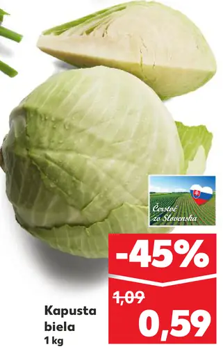 Kapusta biela
