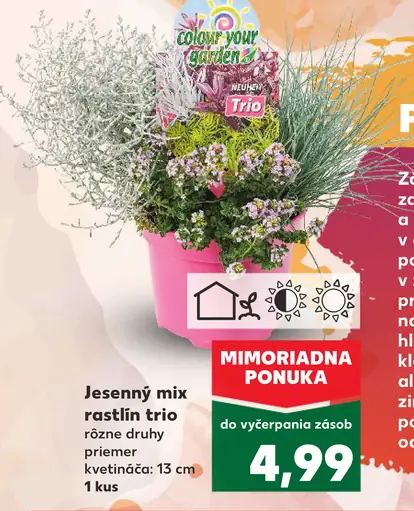 Jesenný mix rastlín trio