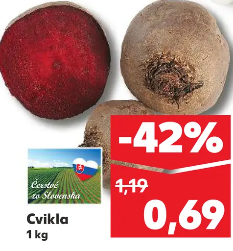 Cvikla