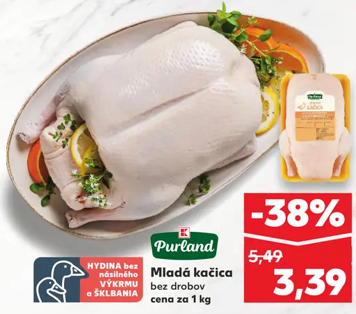 Purland Mladá kačica