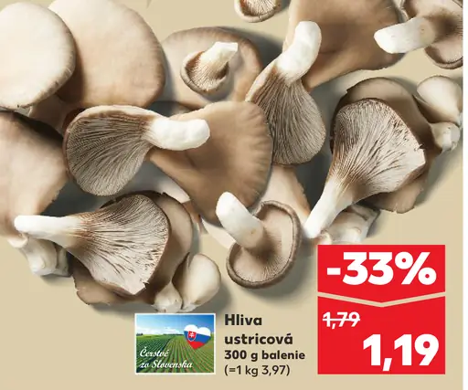 Hliva ustricová