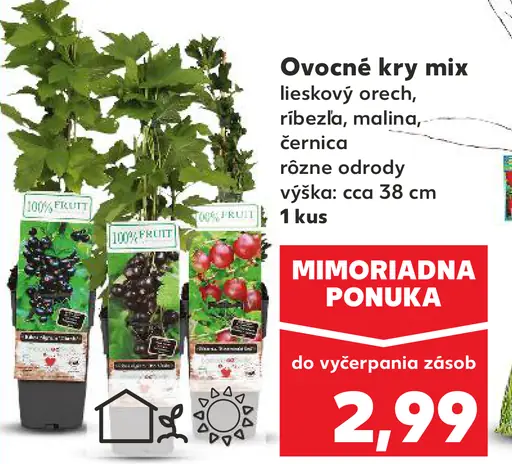 Ovocné kry mix