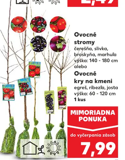 Ovocné stromy