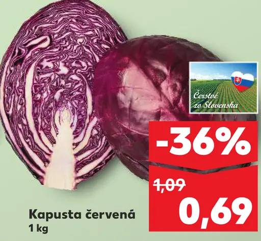 Kapusta červená