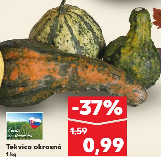Tekvica okrasná