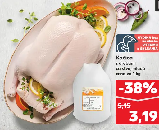 Kačica s drobmi